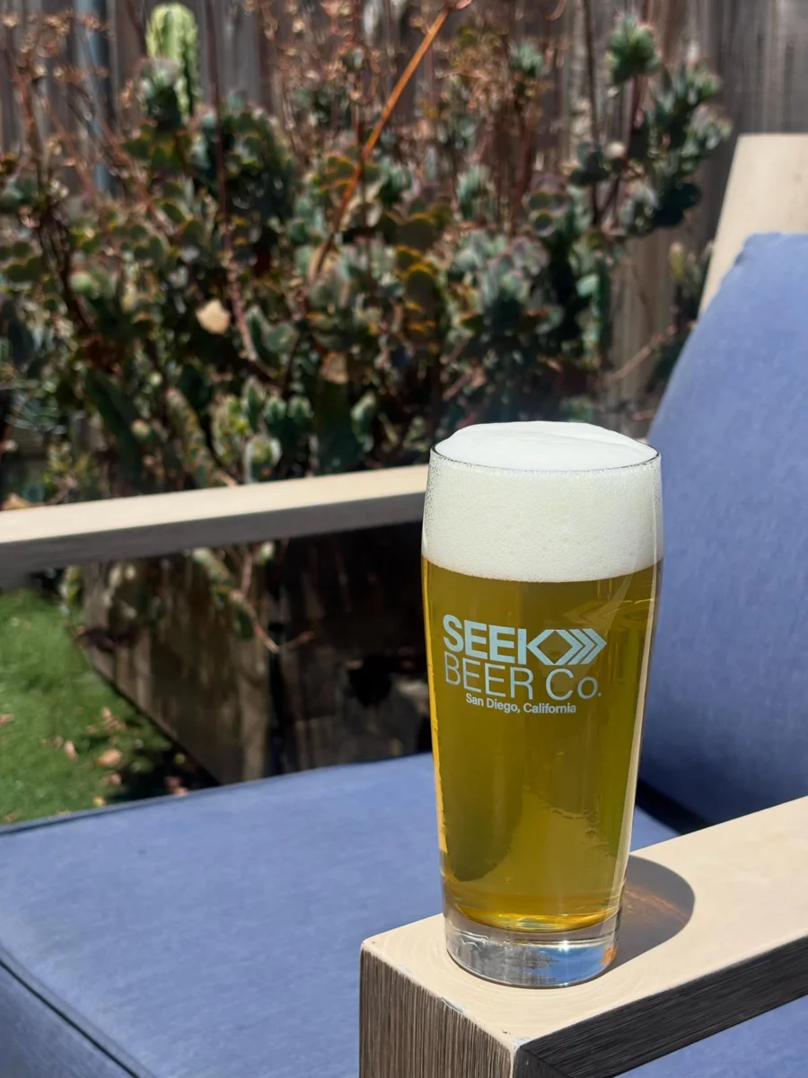 A fresh pint on the Seek Beer Co. patio beside a cactus