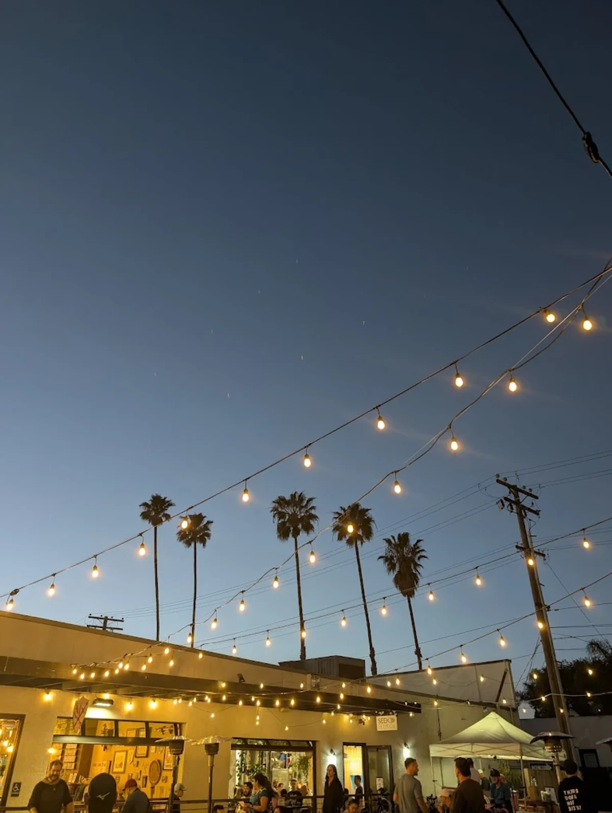 String lights and palm trees glowing over the Seek Beer Co. patio at dusk in North Park, San Diego